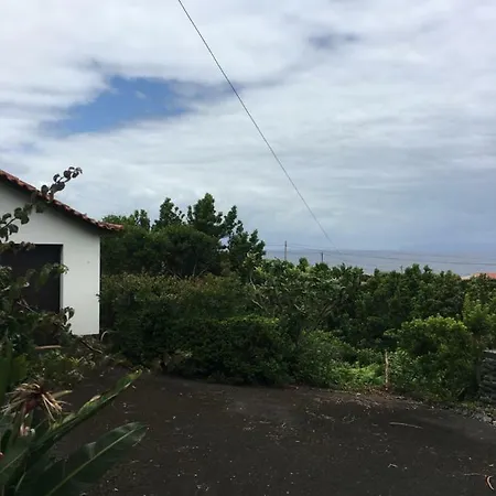 Roy's Pico Island